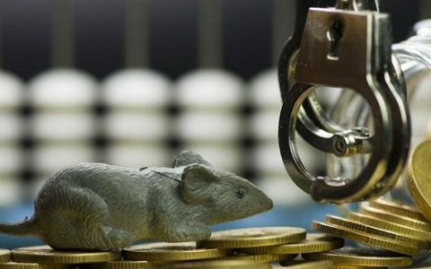 期货金蝉（金蝉捕获期）